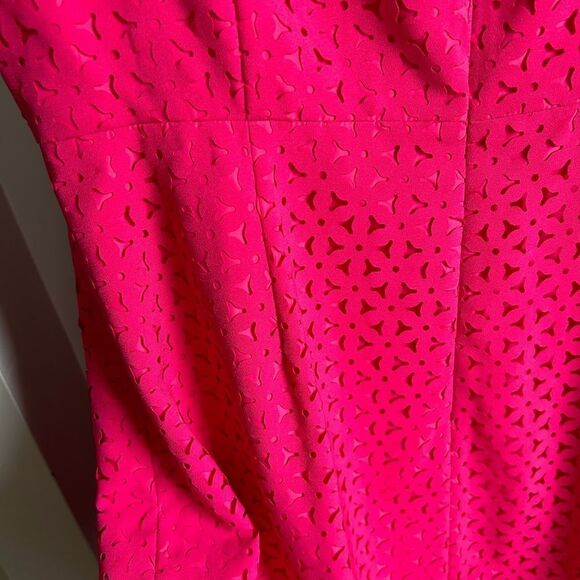 J.Crew Raspberry Laser Cut Out A-line Dress - Picture 6 of 7